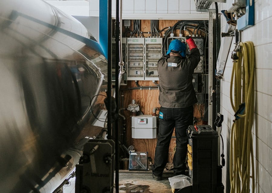 Man doet een elektrakeuring op een agrarisch bedrijf