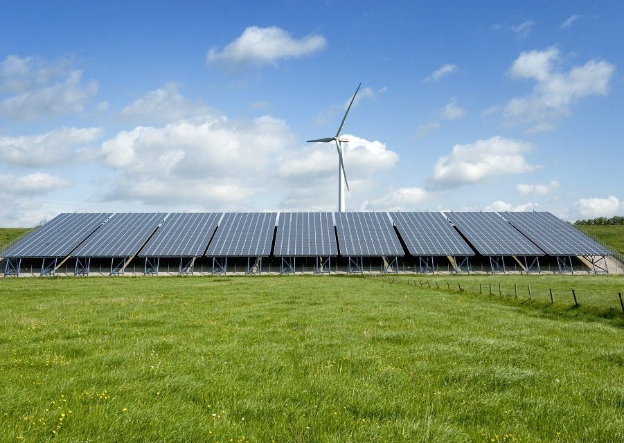 Zonnepanelen op een grasveld, met op de achtergrond een windmolen.