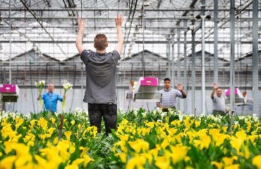 Veilig werken in de kas