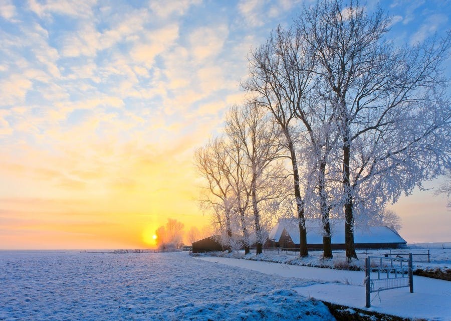 Een winterlandschap; de feloranje zon staat laag aan de horizon achter bomen vol rijp.