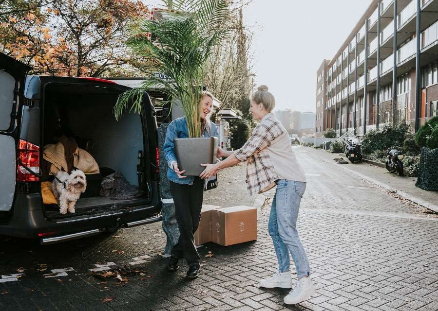 Twee vrouwen zijn spullen aan het uitladen uit een bestelwagentje. Een van hen geeft een grote plant aan de ander.