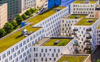 Kantoorpanden met groene daken