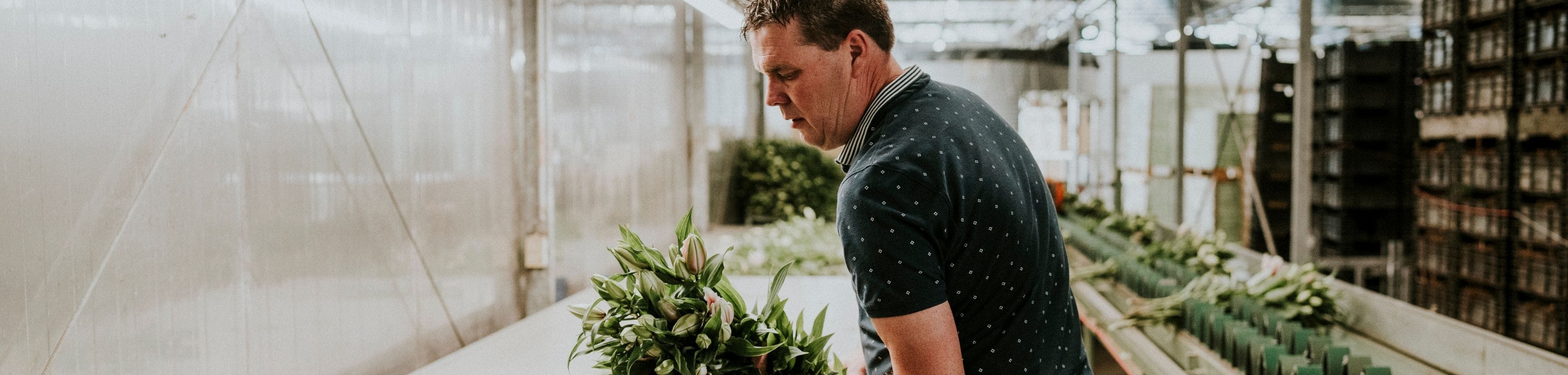 Herman de Jong in zijn leliekwekerij