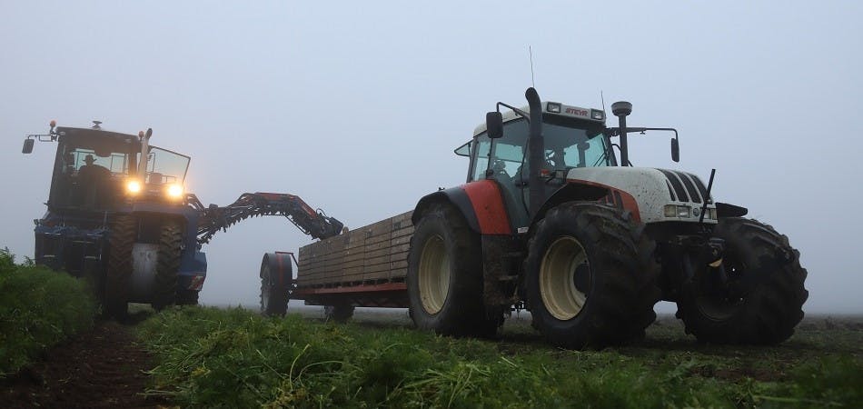 Aan het oogsten op het land met 2 tractoren