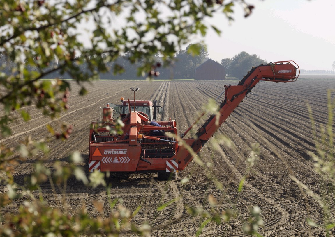 Een mechanische aardappelrooier op een akker.