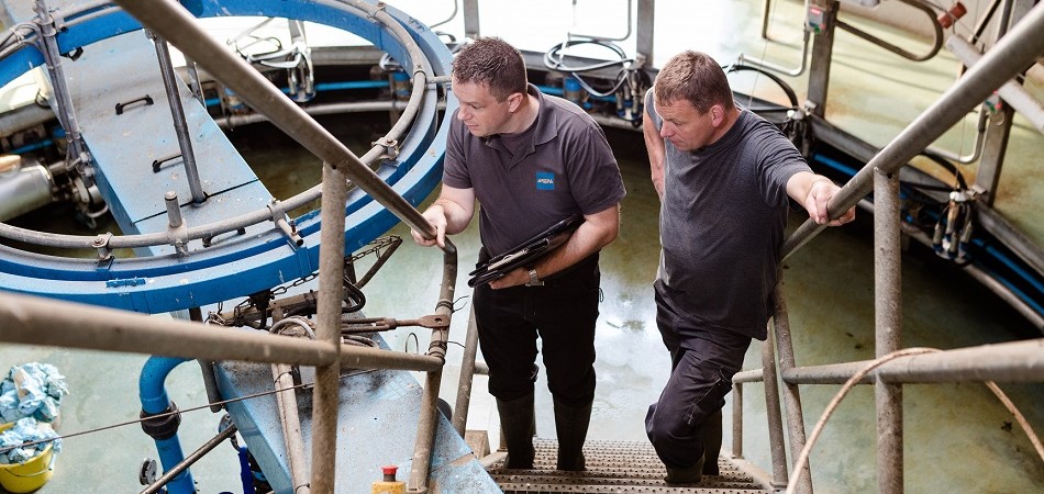 Gert van Adrichem en een elektra inspecteur staan op de trap bij de melkput in het melkveebedrijf van Gert.