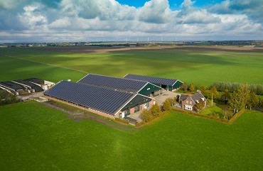 Grote stallen met daken vol zonnepanelen