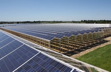 Zonnepanelen op de daken van een kas