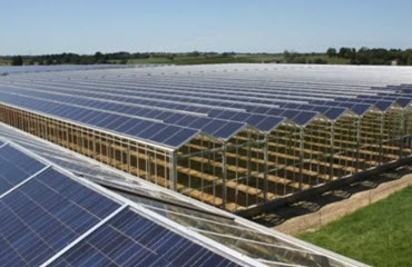 Een kassencomplex waarop zonnepanelen geplaatst zijn.