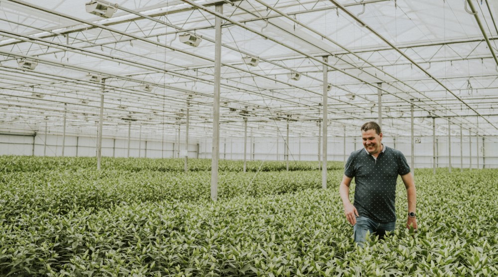 Herman de Jong loopt door zijn kwekerij