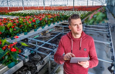 Man staat met een iPad in de hand in de kas