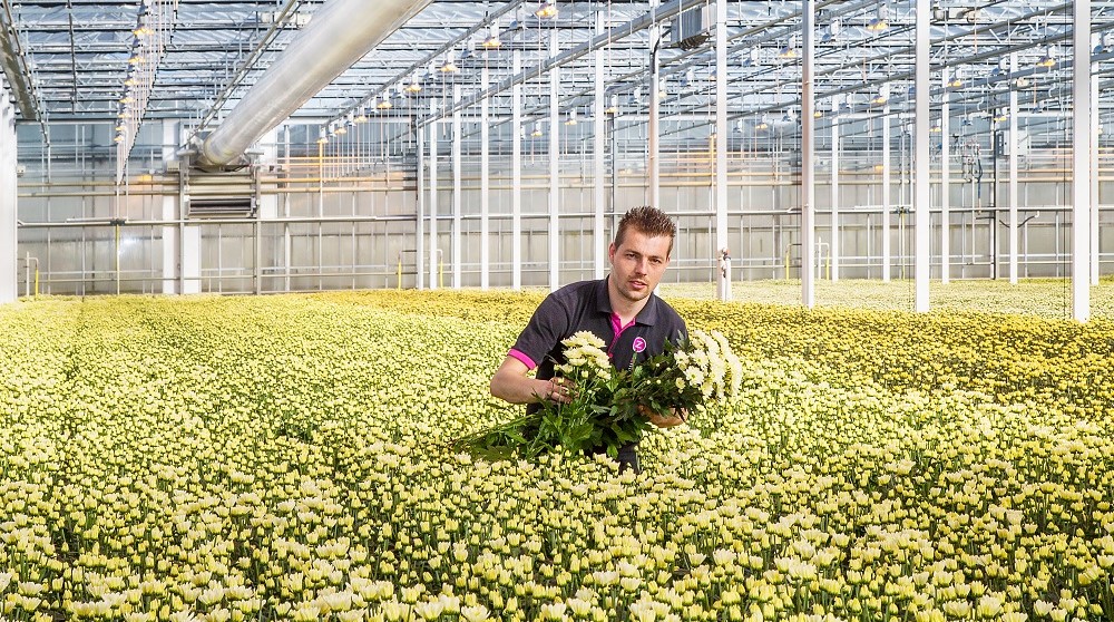 Jeffrey van Uffelen van Van Uffelen Flowers