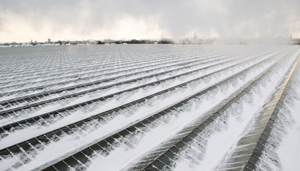 Kassen zijn na een sneeuwbui van schuin bovenaf gefotografeerd. Op de kassen ligt een laagje sneeuw.