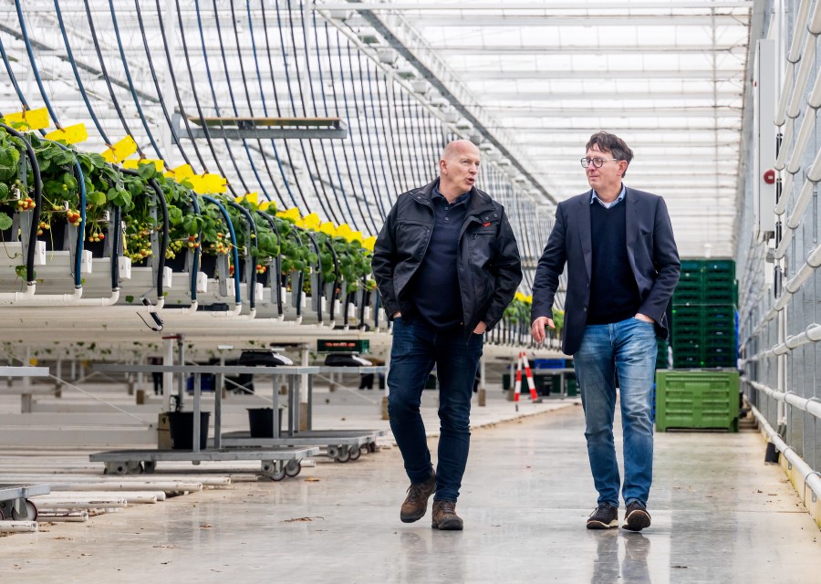 Twee mannen lopen door een kas.