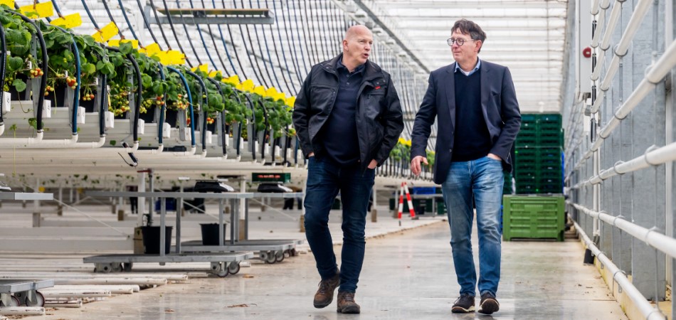 Twee mannen lopen door een kas.