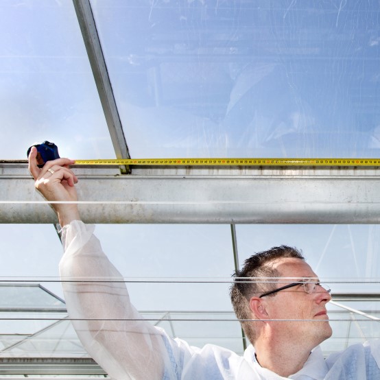 Man meet met met een rolmaat in een kas