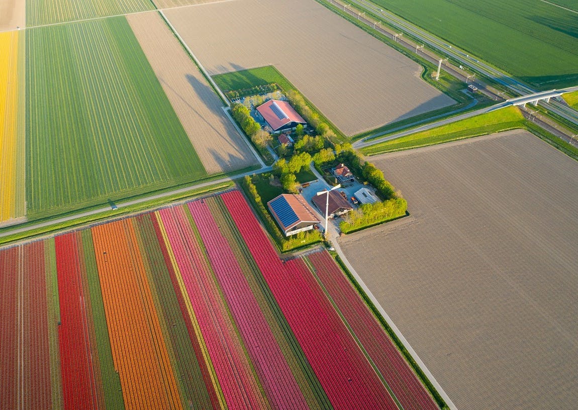 Een luchtfoto vanuit vogelperspectief van een agrarisch bedrijf in de Bollenstreek.