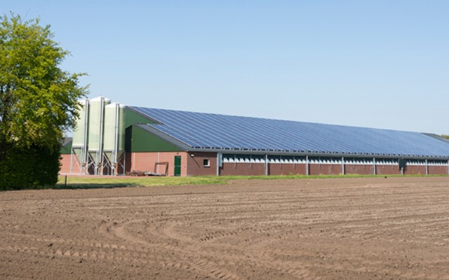 Stal met zonnepanelen
