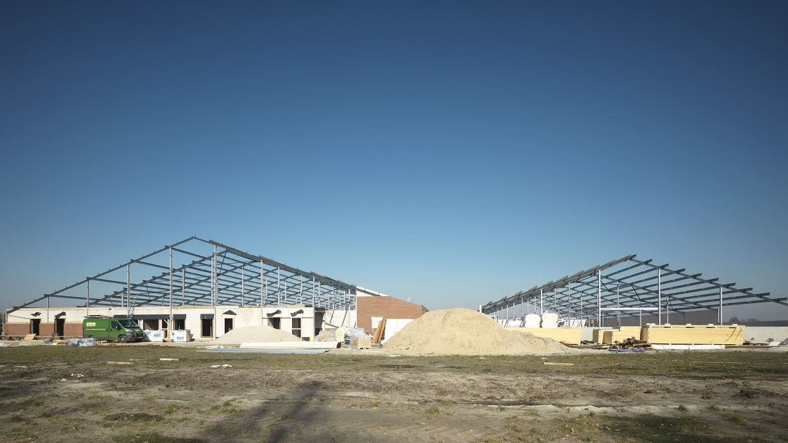 Een agrarische loodsconstructie in aanbouw.