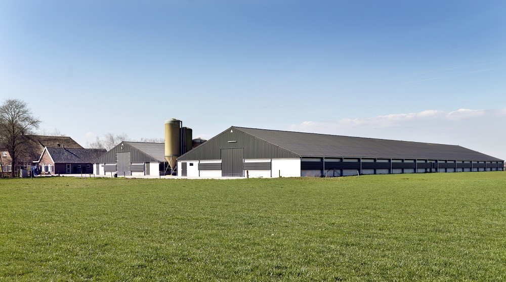 Nieuw gebouwde stal. Hoe kunt u een stalbrand voorkomen? En wat doet Interpolis om stalbrand te voorkomen? Lees hoe Interpolis agrariërs helpt.