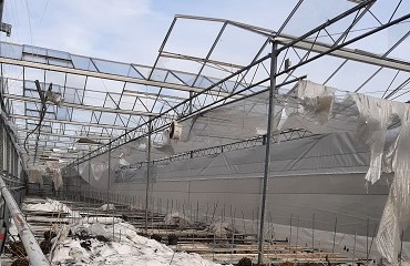 Door sneeuwdruk ingestorte kassen.