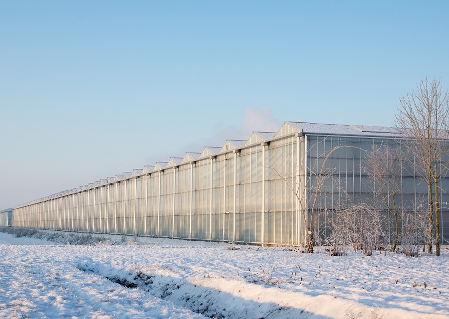 Kassen in een sneeuwlandschap.