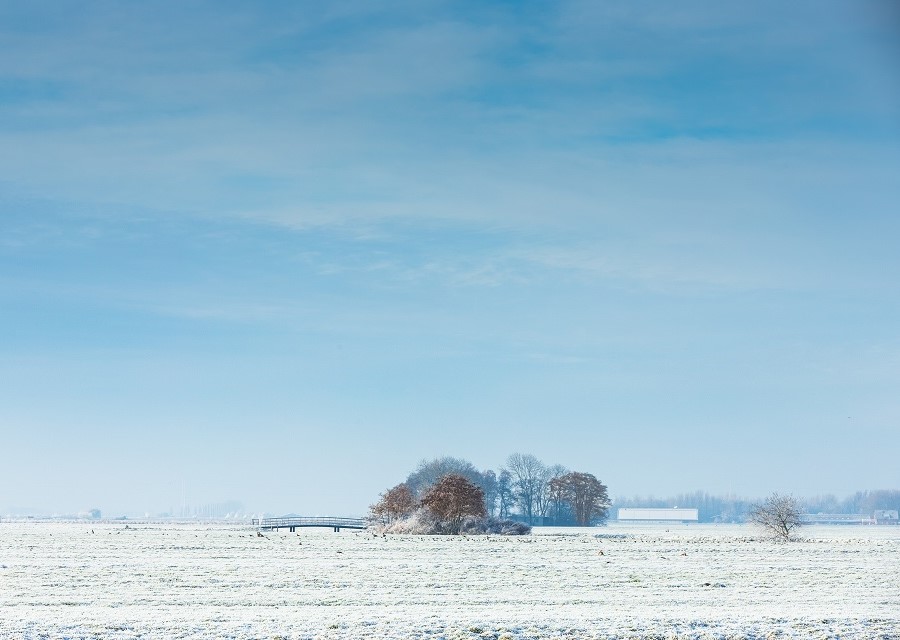 Een besneeuwde akker met enkele bomen en een bruggetje.