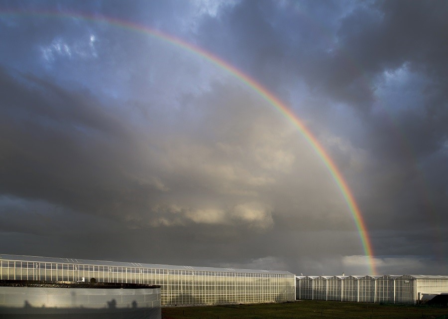 Een donkere wolkenlucht met een felle regenboog boven een kassencomplex.