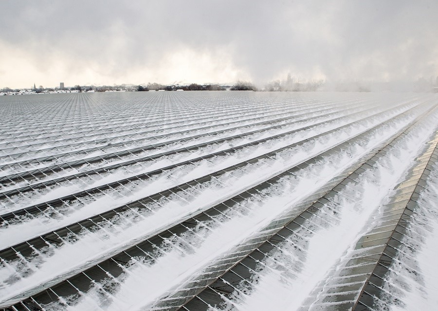 De bevroren bovenkant van een kassencomplex.