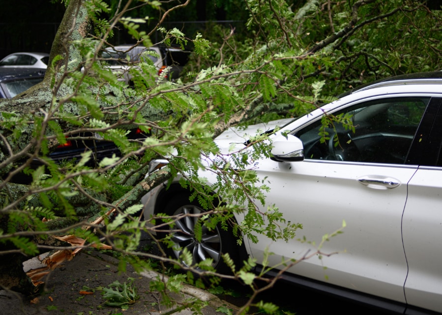 Beschadigde auto doordat er een tak op is gevallen