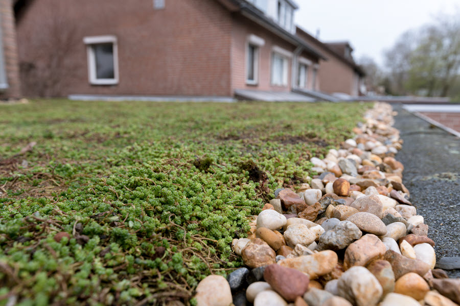 De buitenrand van een groen dak is netjes afgewerkt met kiezels, zodat het sedum niet te nat blijft na een regenbui.