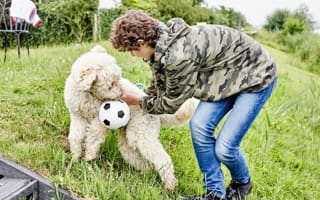 Een jongen met een hond die een bal in zijn bek heeft