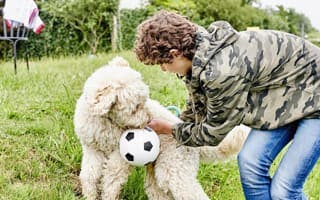 Een jongen met zijn hond, die een bal in zijn bek heeft