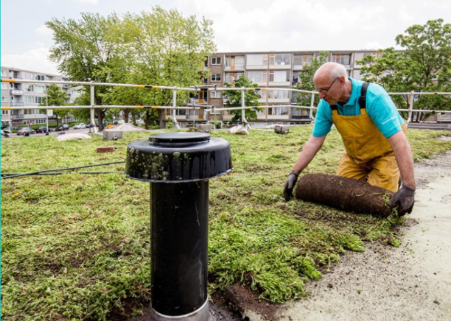 Groen Dak van Interpolis dat wordt aangelegd