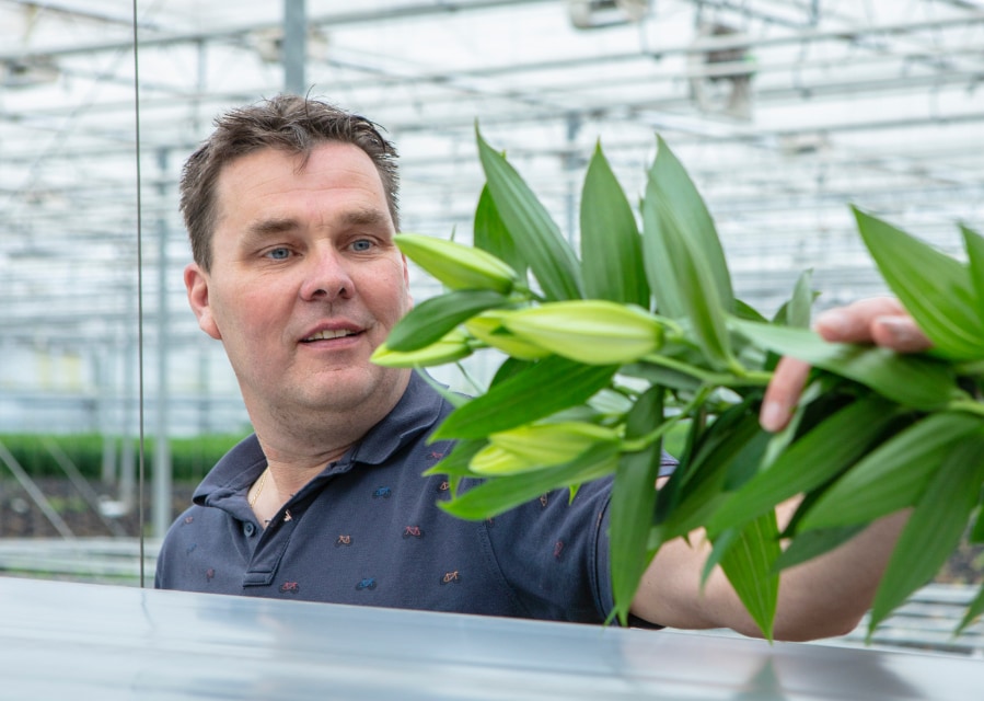 Ondernemer in een kas