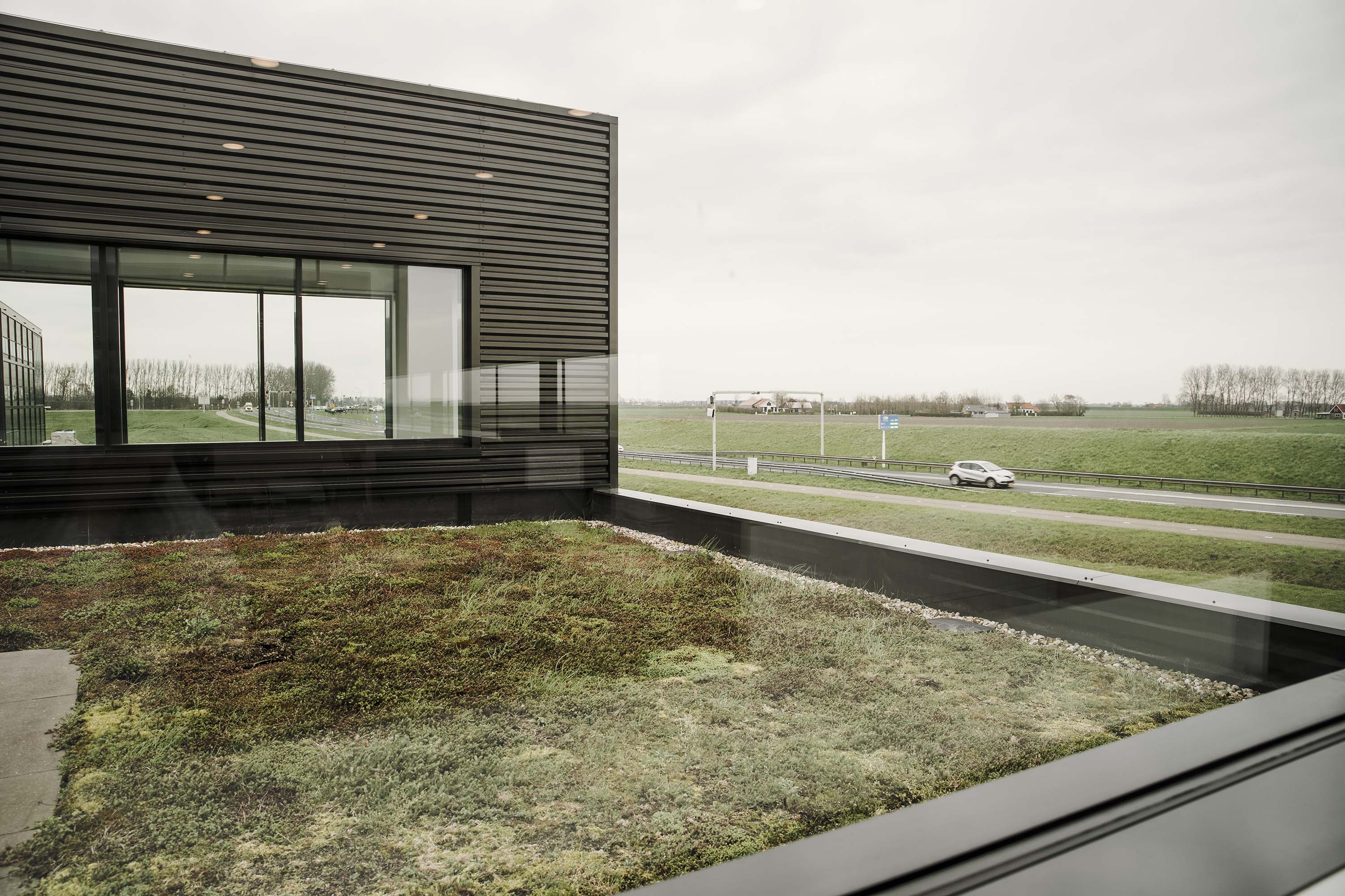 Groen dak op een bedrijfspand