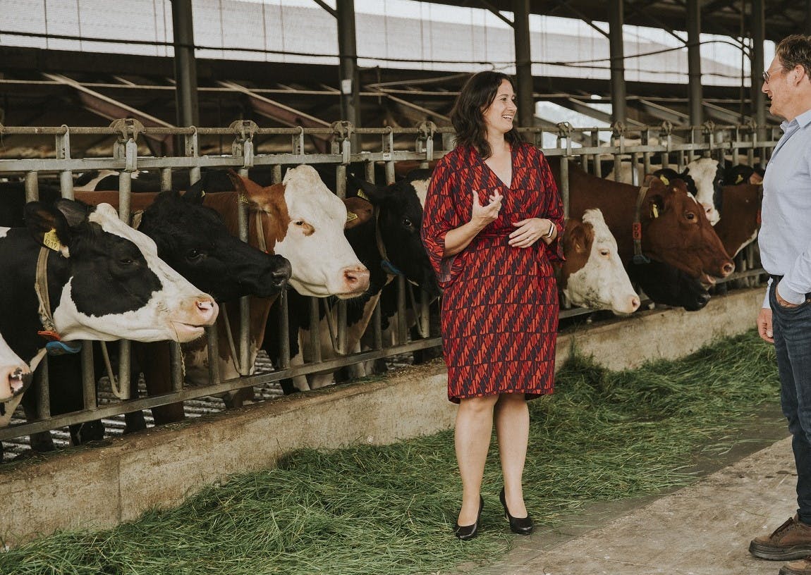 Melissa van de Kam in gesprek met klanten in een koeienstal