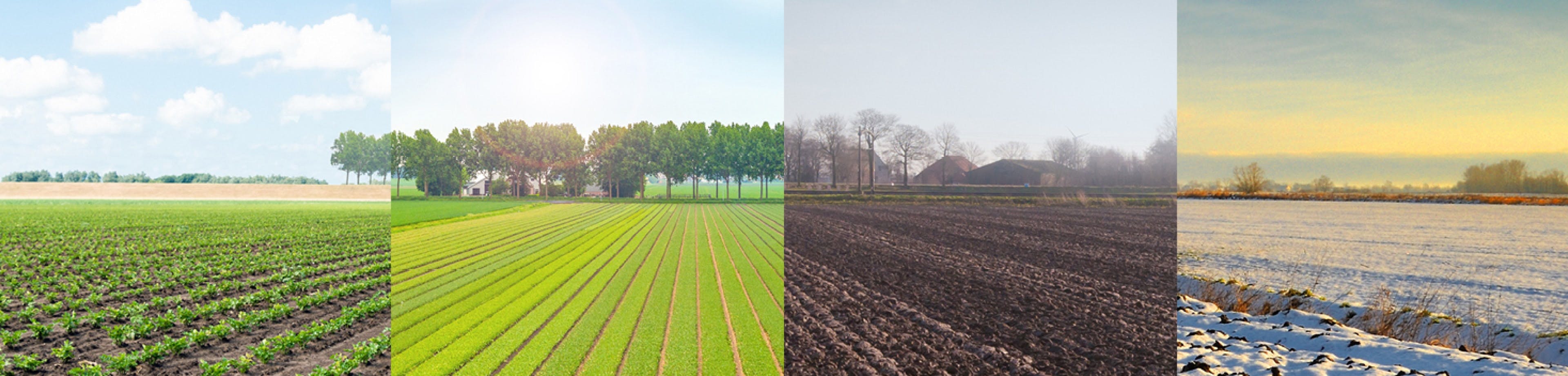 De 4 seizoenen op een rij in de agrarische sector