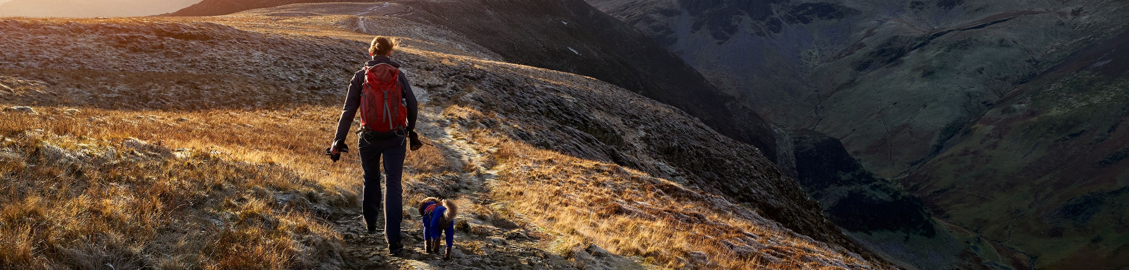 Wandelaar met hond op een pad langs een berghelling in Schotland