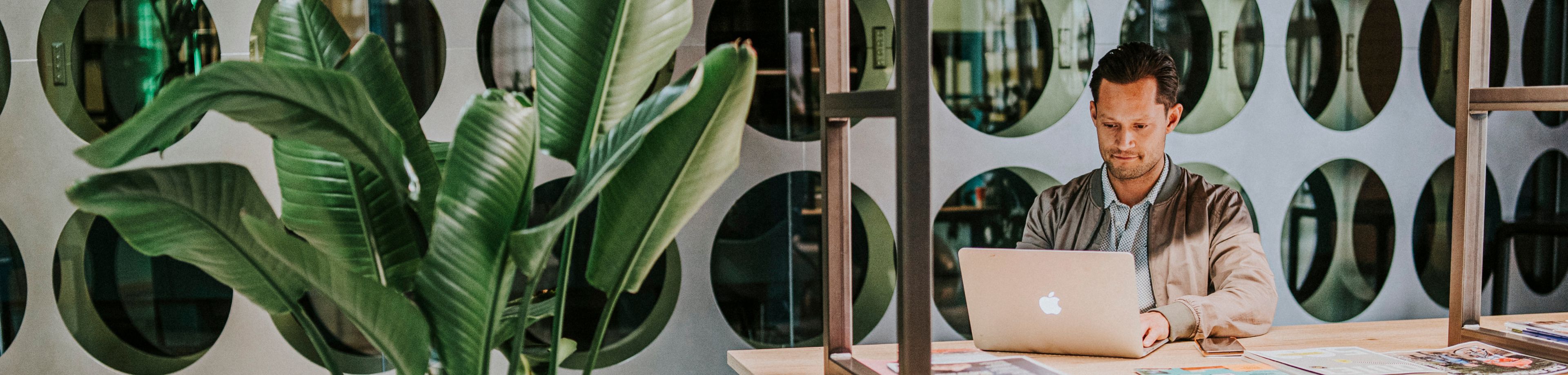 Man zit achter een MacBook aan een tafel, naast een grote plant