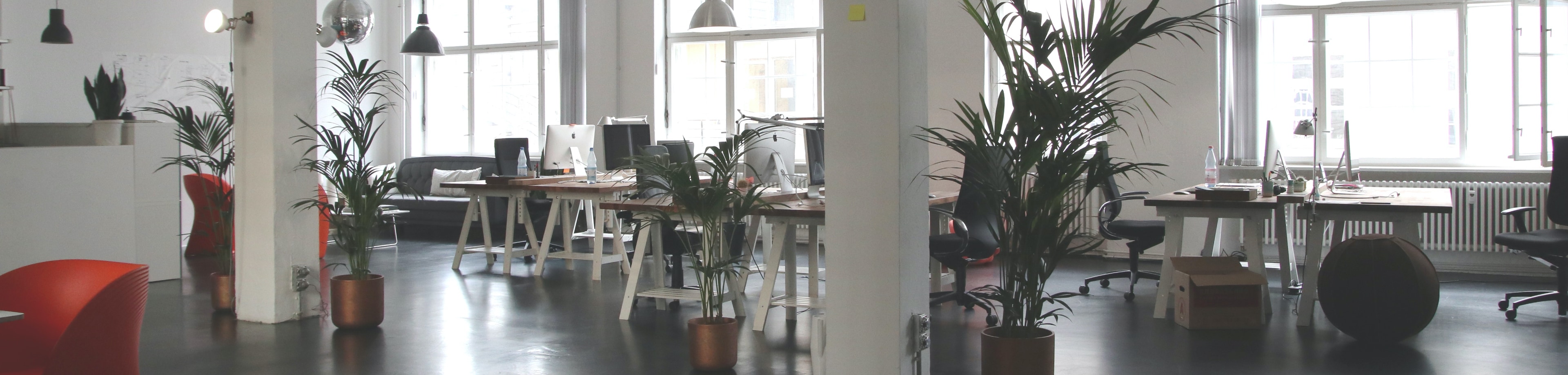 een ingerichte kantoortuin zonder mensen