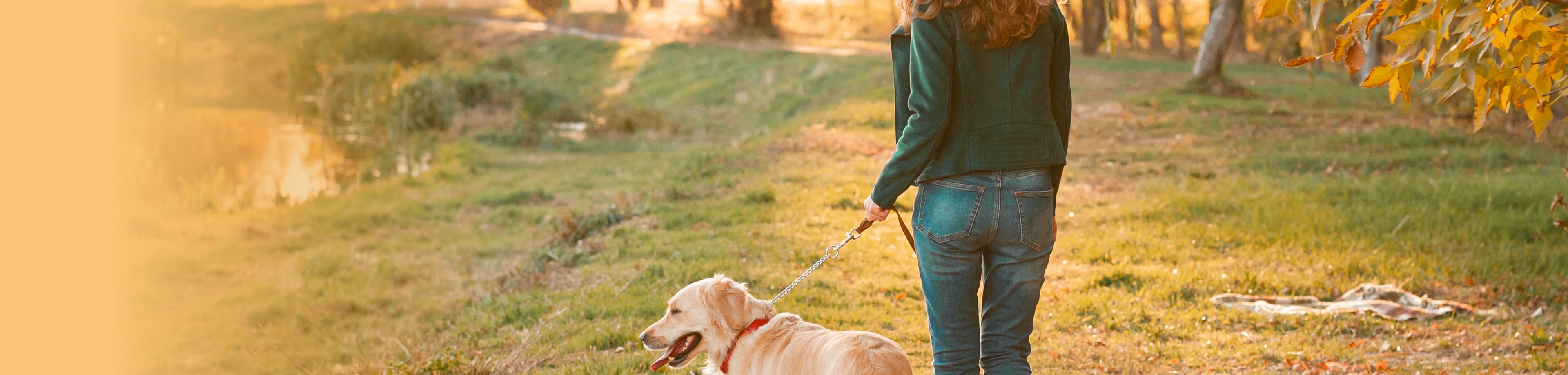 Vrouw die met haar hond in de natuur aan het wandelen is