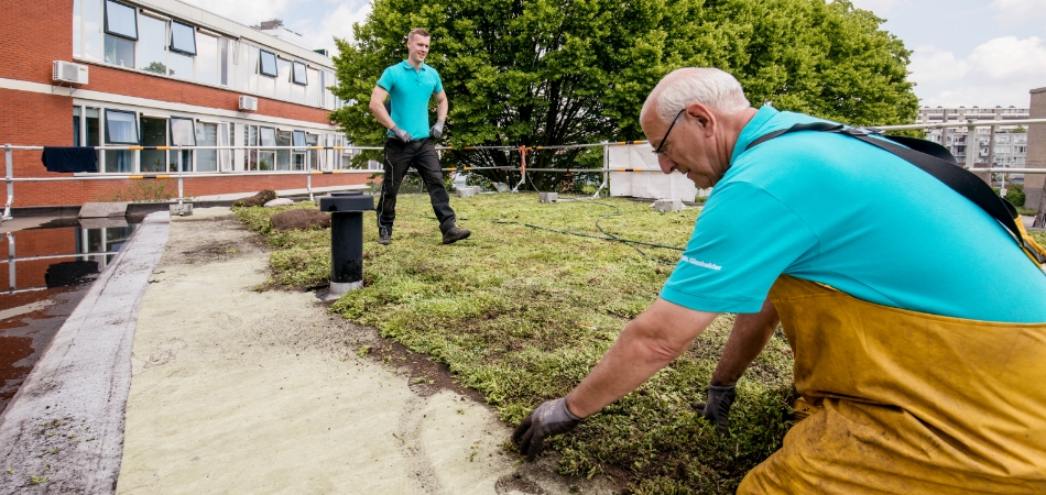 Oudere man legt een groen dak en een andere man loopt er overheen.