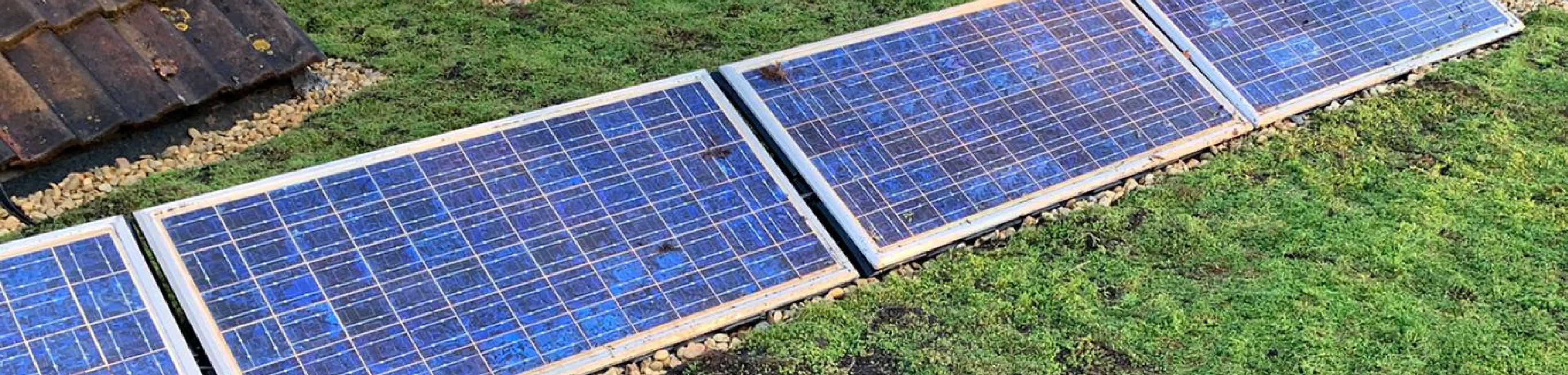 Zonnepanelen op een groen dak