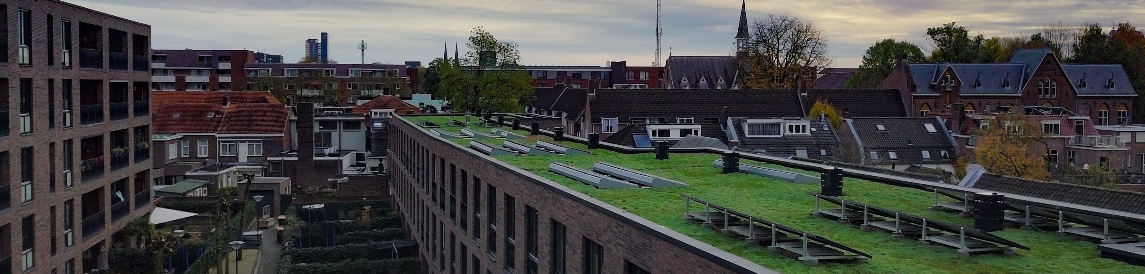 Een groen dak met zonnepanelen