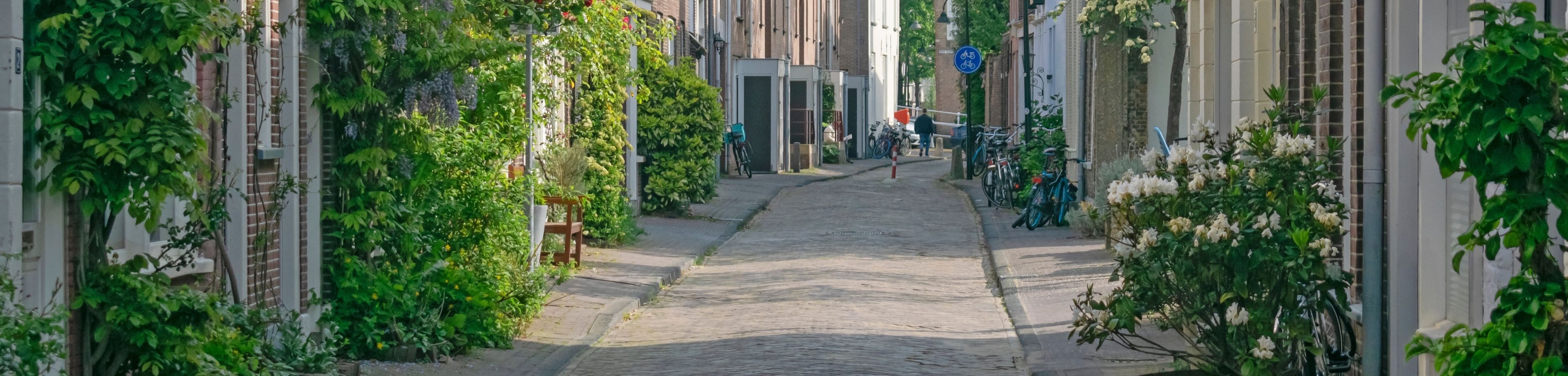 Smalle straat met huizen met geveltuintjes aan beide kanten