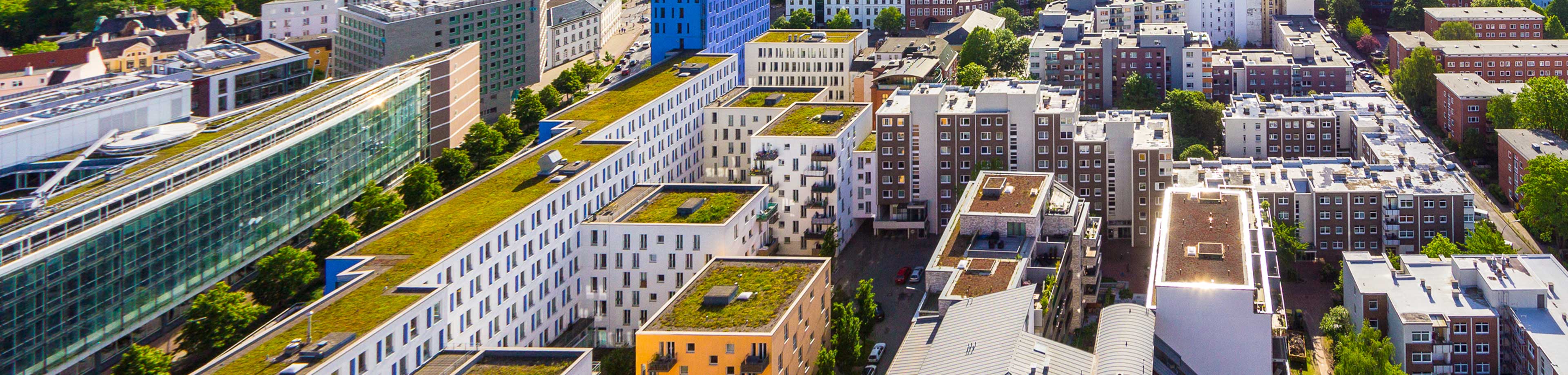 Groene daken - Zo houd je hoofd en huis koel als de temperatuur stijgt