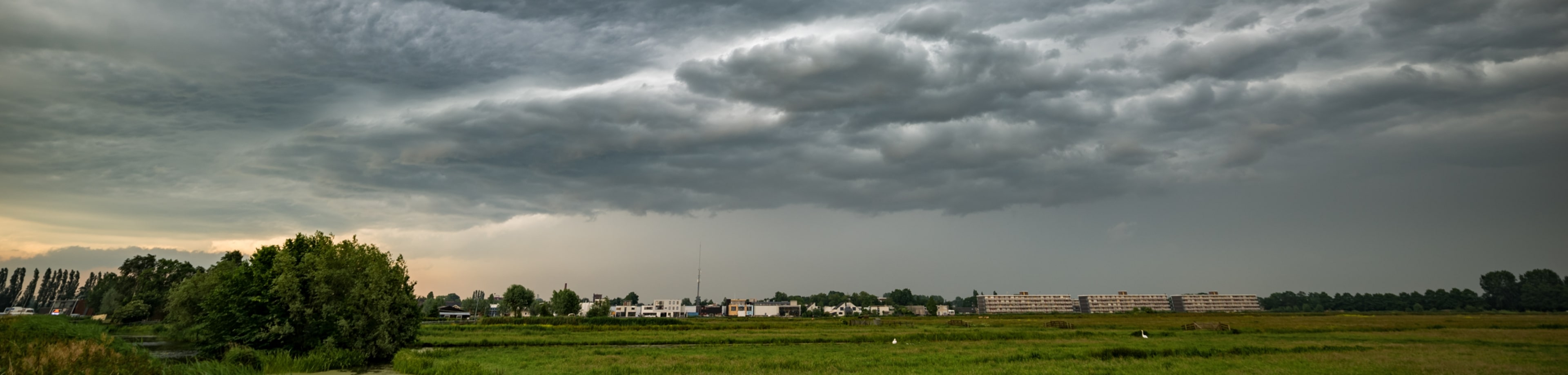 Een Nederlands weidelandschap met op de achtergrond dreigende, donkere wolkenluchten.