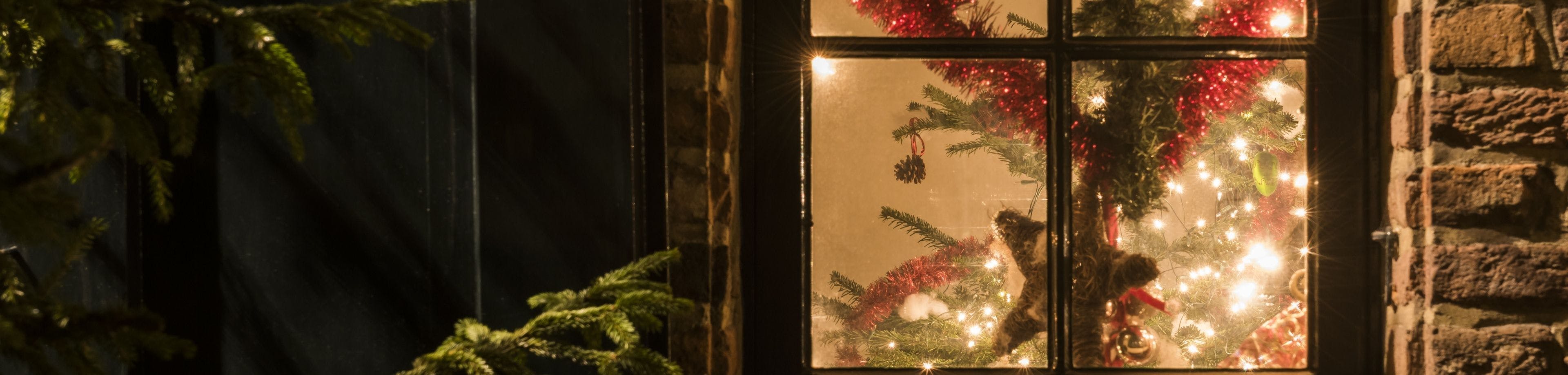 Raam van een woning waardoor een versierde kerstboom te zien is