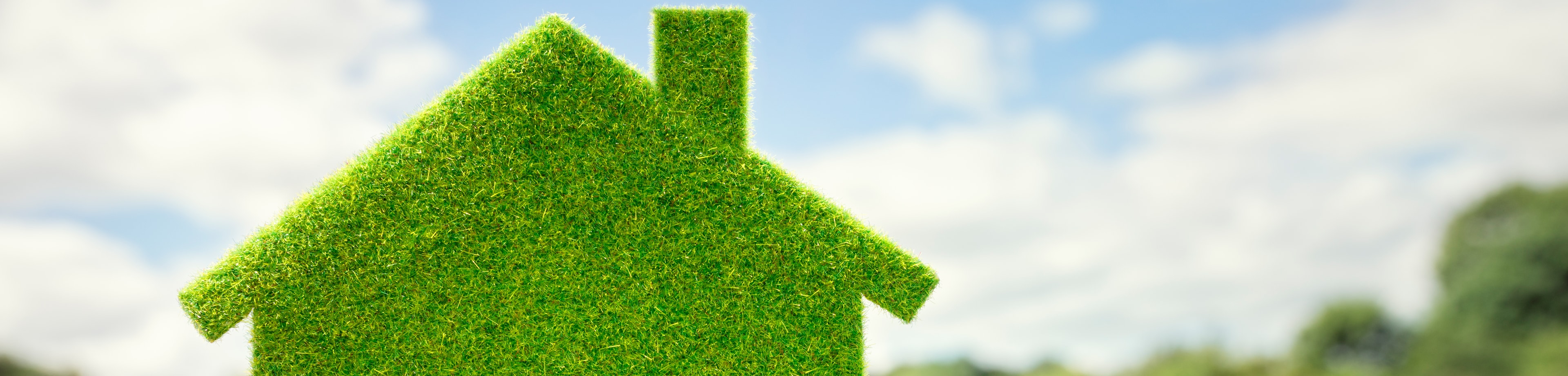 Groen, groener, groenst, veranderen volhouden